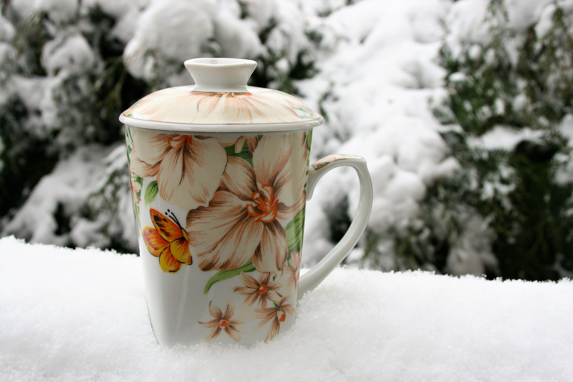 Horký čaj nebo raději grog? Vyzkoušejte si, co víte o mrazivém počasí.