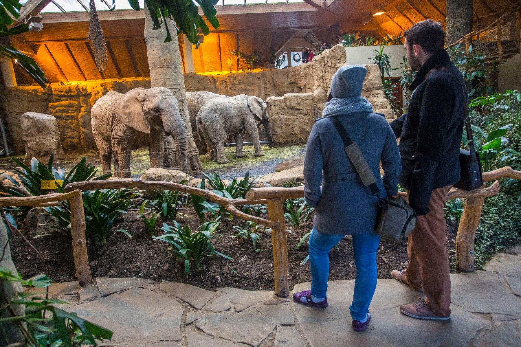 Pavilon slonů ve zoologické zahradě Zlín