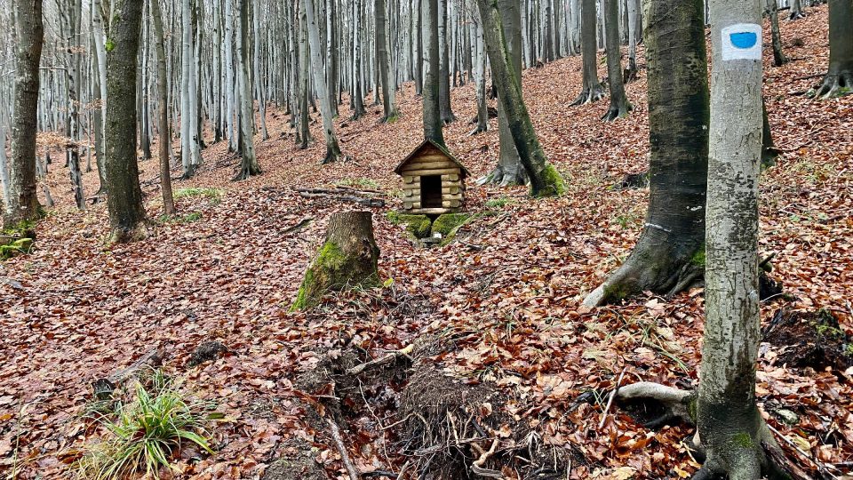 Asi dva kilometry před cílem se dá napojit na modrou stezku, která vede kolem studánky