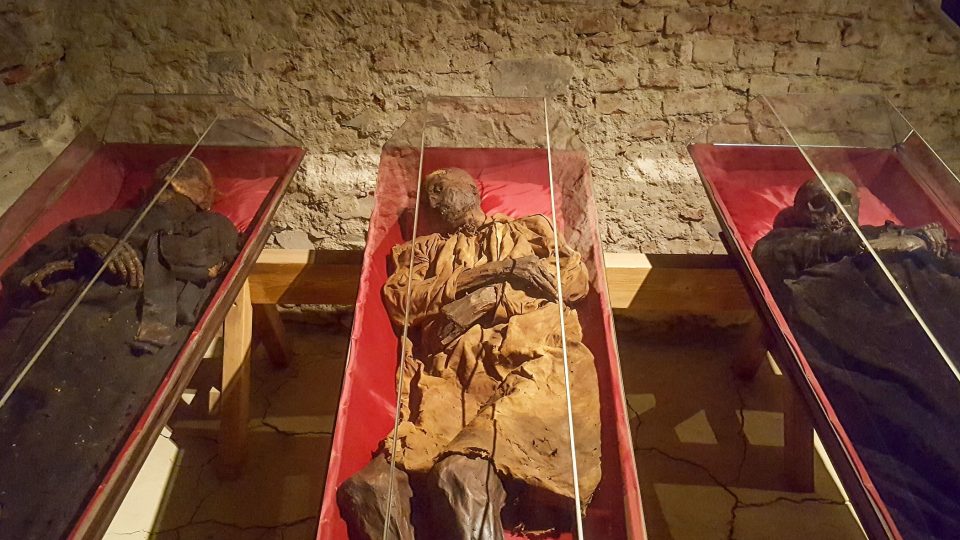 Těla byla mumifikována i s vnitřními orgány | foto: Kateřina Dobrovolná, Český rozhlas Těla byla mumifikována i s vnitřními orgány