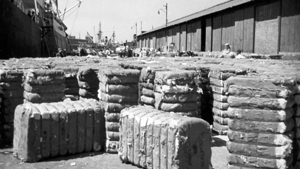 Balíky bavlny - Zikmund + Hanzelka 1947