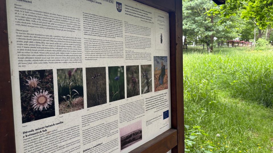 Nechybí řada zastavení s poučením | foto: Pavel Halla, Český rozhlas Nechybí řada zastavení s poučením