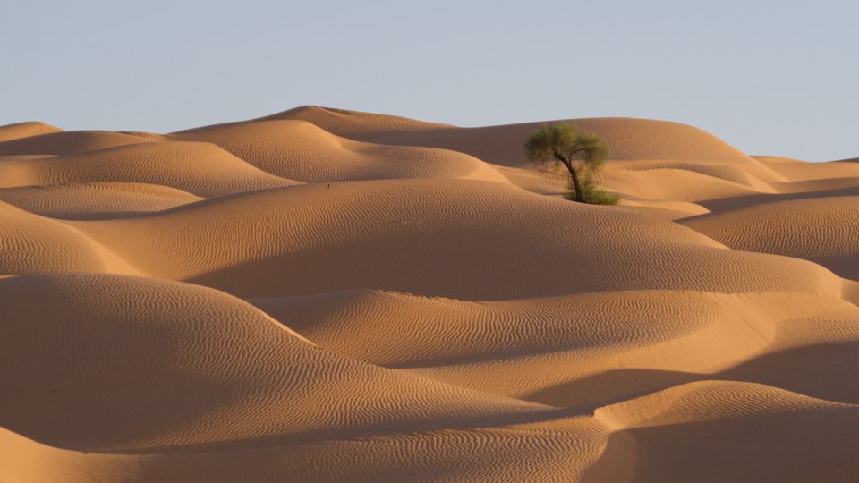 Duny a Sahara
