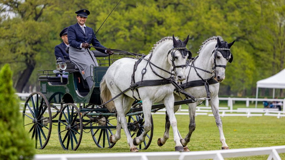 Zemský hřebčinec Tlumačov | foto: Zemský hřebčinec Tlumačov Zemský hřebčinec Tlumačov