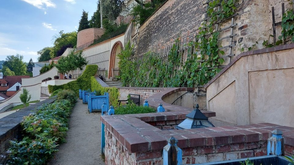 Vinná réva a vyvýšené záhony pro bylinky | foto: Jolana Nováková, Český rozhlas Vinná réva a vyvýšené záhony pro bylinky