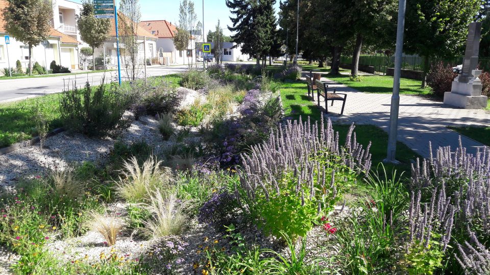 Dešťová zahrada u školy | foto: Daniel Mrázek, Český rozhlas Dešťová zahrada u školy