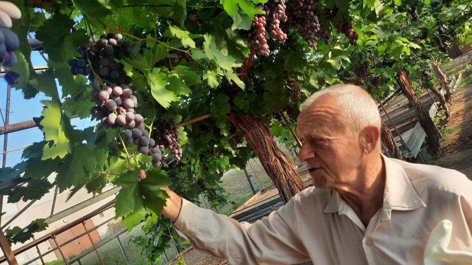 Vinobraní 2022 v Polešovicích na Uherskohradišťsku