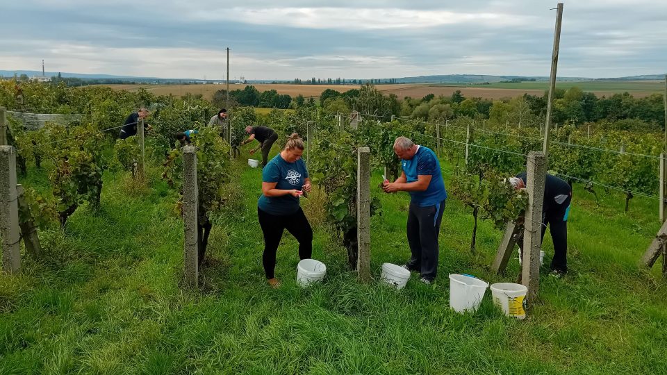 Vinařství Jančura | foto: Archiv vinařství Jančura Vinařství Jančura