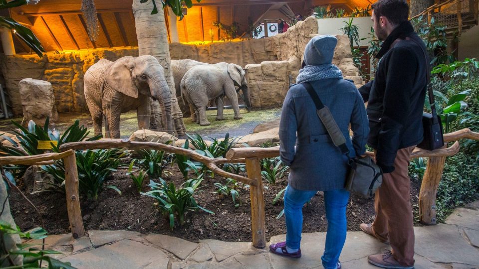 Pavilon slonů ve zoologické zahradě Zlín