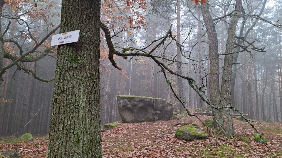 Boží kámen se nachází na malém návrší. Od modré turistické trasy k němu vede směrovka | foto: Markéta Vejvodová, Český rozhlas Boží kámen se nachází na malém návrší. Od modré turistické trasy k němu vede směrovka