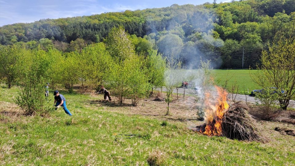 Louka u Jestřabic, akce skautů z Koryčan na záchranu původních rostlin a živočichů (2024)