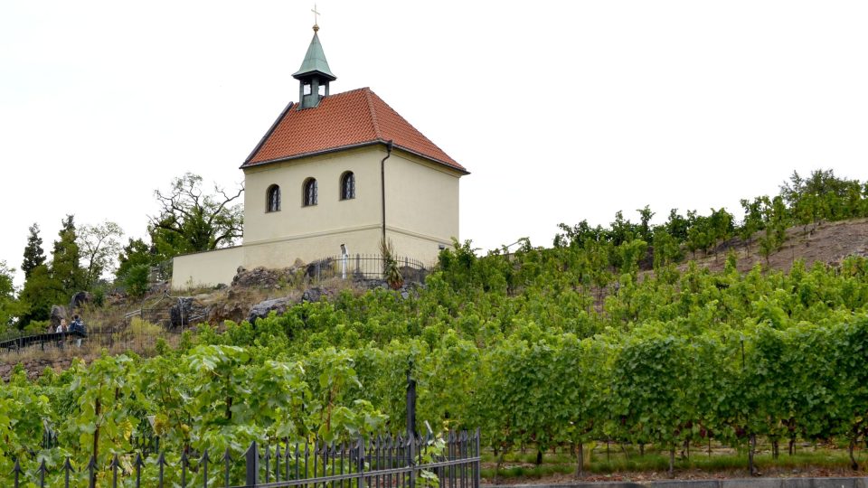 Vinice svaté Kláry se stejnojmennou kapličkou