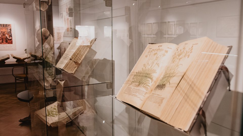 Výstava Příběh Mattioliho herbáře, Muzeum Kroměřížska 7-10/2025