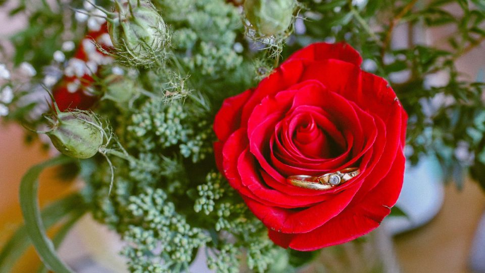 Marie dostala nádhernou kytici, kam jsme umístili i prstýnky | foto: Jana Volková Marie dostala nádhernou kytici, kam jsme umístili i prstýnky