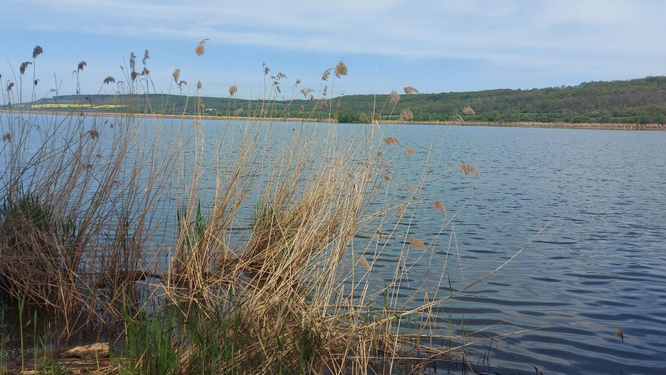 Pohled na vodní hladinu z obce Choťovice