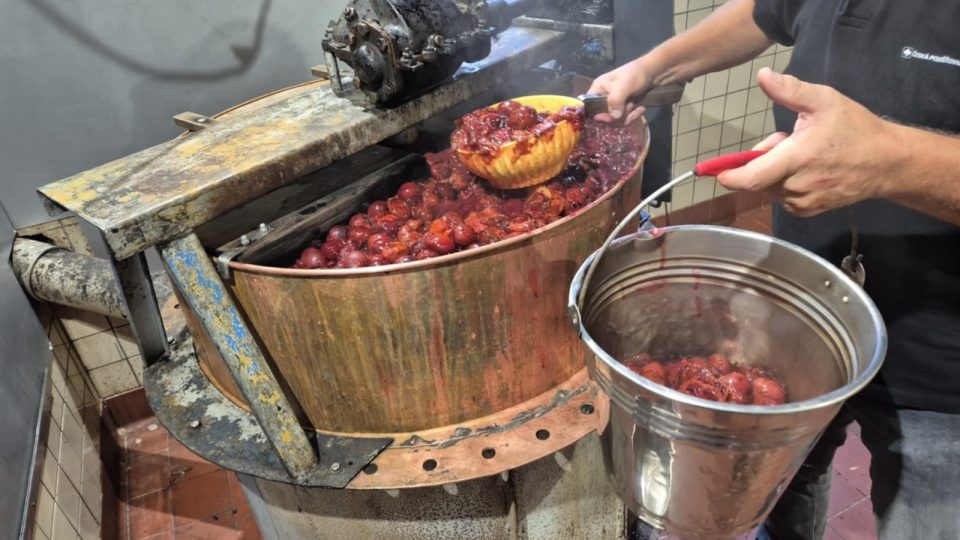 Chvalčov, zahrádkáři, vaření povidel