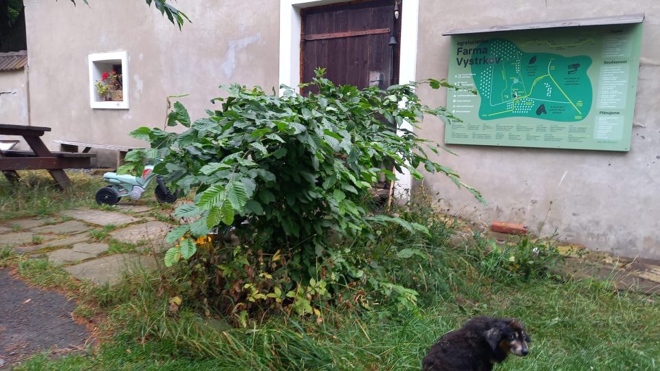 Farma Vystrkov, dříve historický dvůr