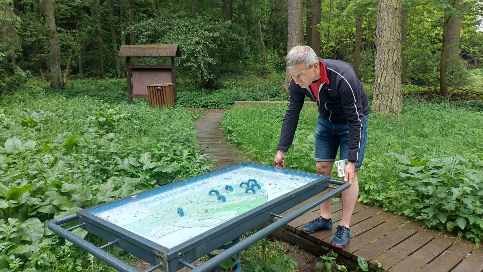 Cesta svitavským Vodárenským lesem nabízí malebná zákoutí, spoustu informací o přírodě i zábavu | foto: Tereza Brázdová, Český rozhlas Cesta svitavským Vodárenským lesem nabízí malebná zákoutí, spoustu informací o přírodě i zábavu