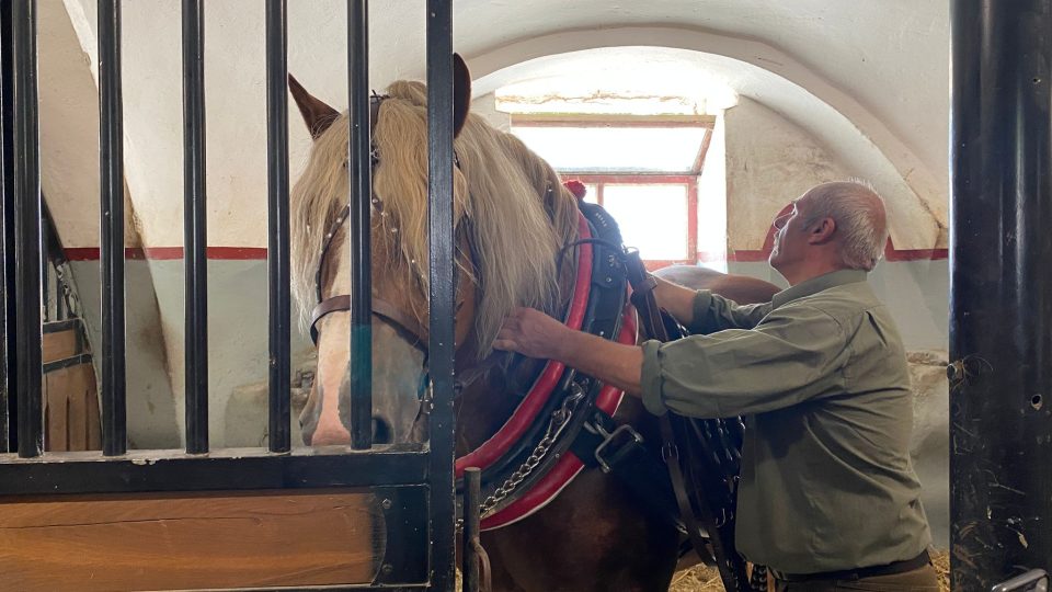 Zemský hřebčinec Tlumačov, oslavy 100. výročí založení