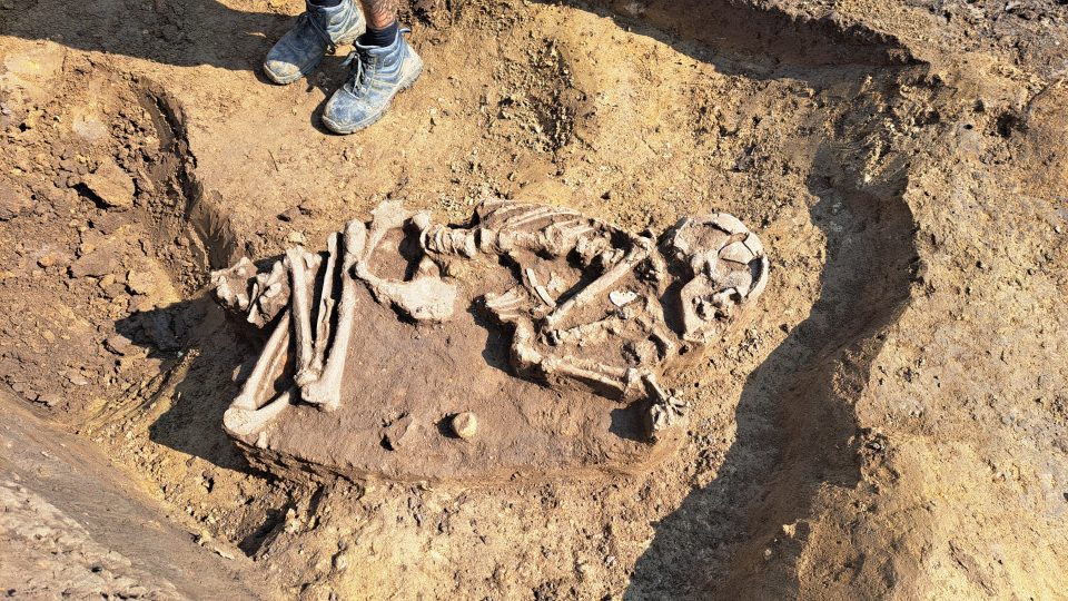 Ostrožská Lhota, nález 7000 let starých kosterních pozůstatků