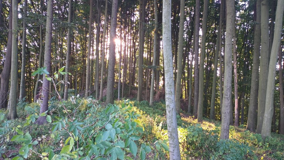 Místo, kde stál hrad Engelsberg, nazývaný také Sehrad | foto: Silvie Pospíšilová, Český rozhlas Místo, kde stál hrad Engelsberg, nazývaný také Sehrad