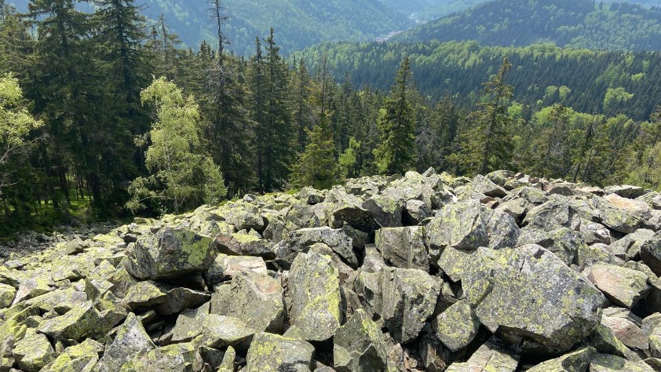 Jeden z nejhezčích výhledů v Krušných horách | foto: Jana Strejčková, Český rozhlas Jeden z nejhezčích výhledů v Krušných horách