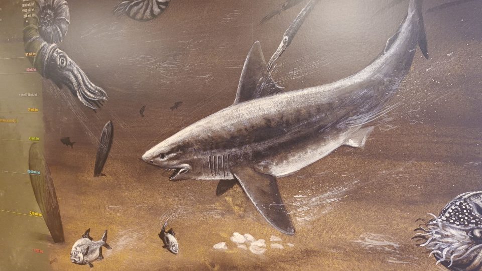 Dřív na místě Kurovického lomu bylo moře