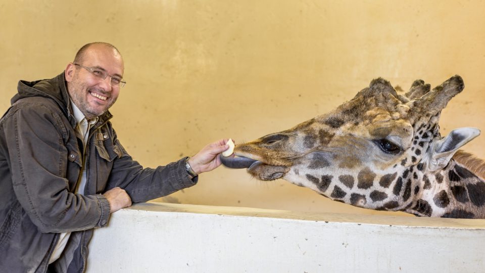 Miroslav Bobek s žirafím samcem Johanem
