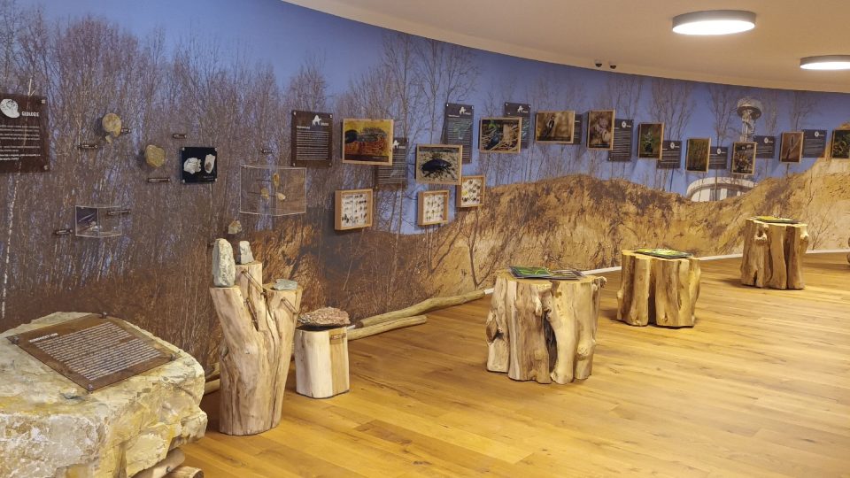 Galerie poodkrývá fascinující svět přírody v Kurovickém lomu