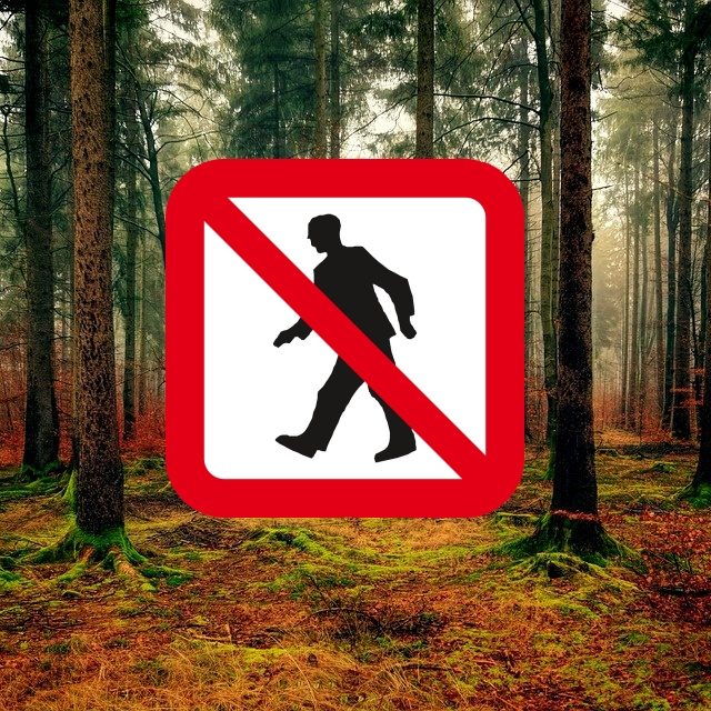 Zákaz vstupu do lesů  (ilustrační foto) | foto:  jplenio,   13smok,  Fotobanka Pixabay,  CC0 1.0