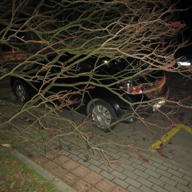 Vítr na Zlínsku | foto:  Hasiči - Rescue