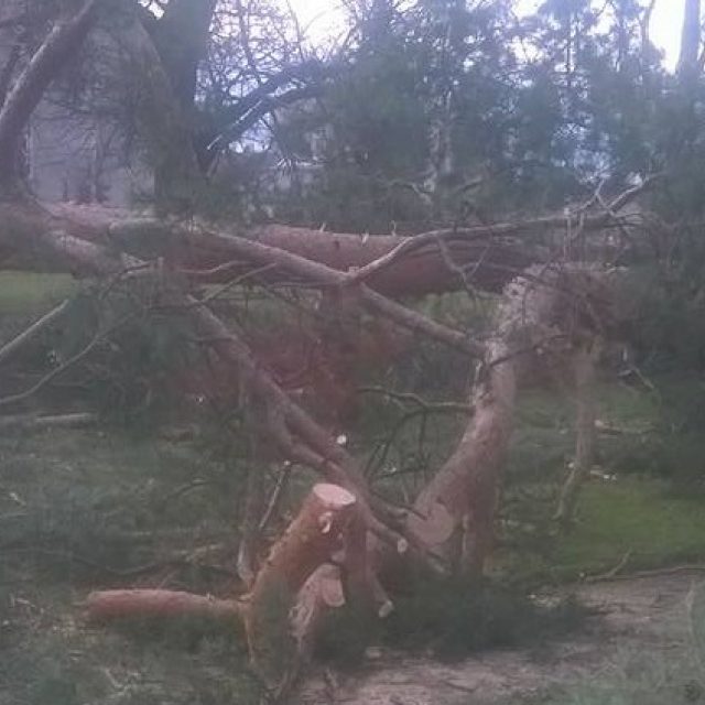 Vítr poškodil park v Holešově | foto: Jiří Vaňhara