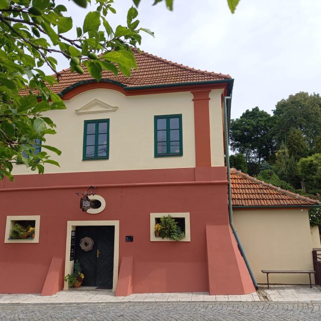 Mařatice  (Uherské Hradiště),  Vinohradská ulice,  měšťanské vinné sklepy,  měšťanský vinný sklep U Lisu | foto: Markéta Macháčková,  Český rozhlas