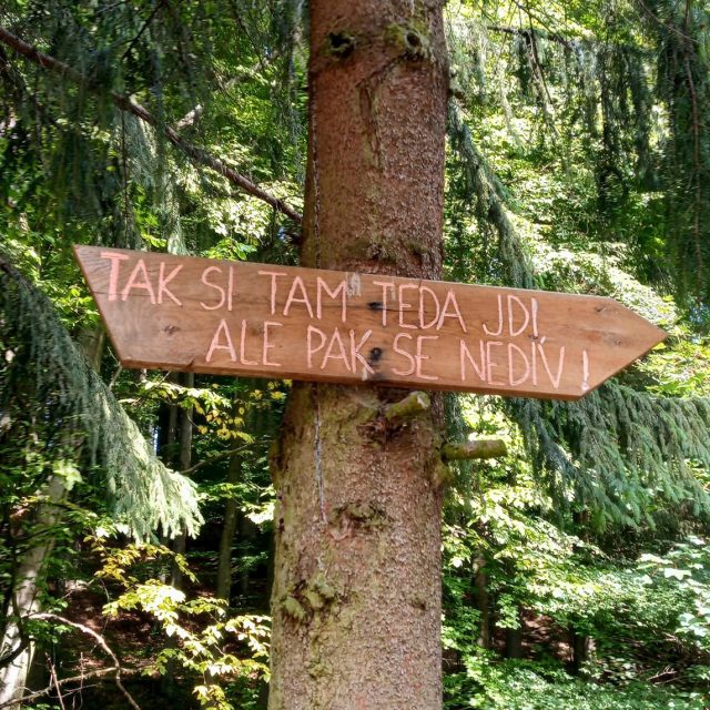 Odbočka od chaty Megovka směrem na Velkou Javořinu | foto: Tomáš Fránek,  Český rozhlas