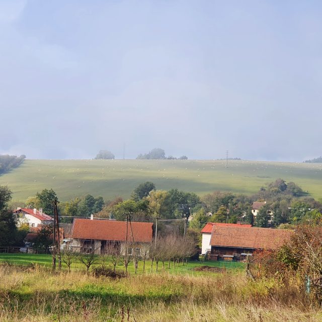 Vrbětice - okolí,  2021 | foto: Roman Verner,  Český rozhlas