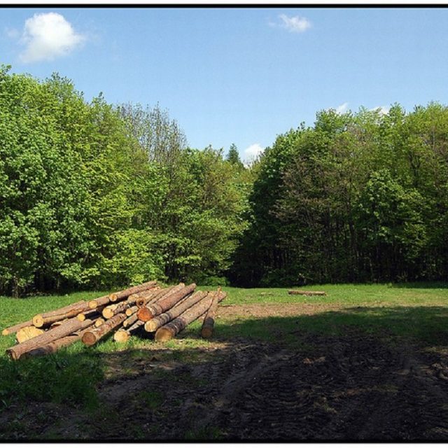 Základy zámku Pepčín | foto: obec Drslavice