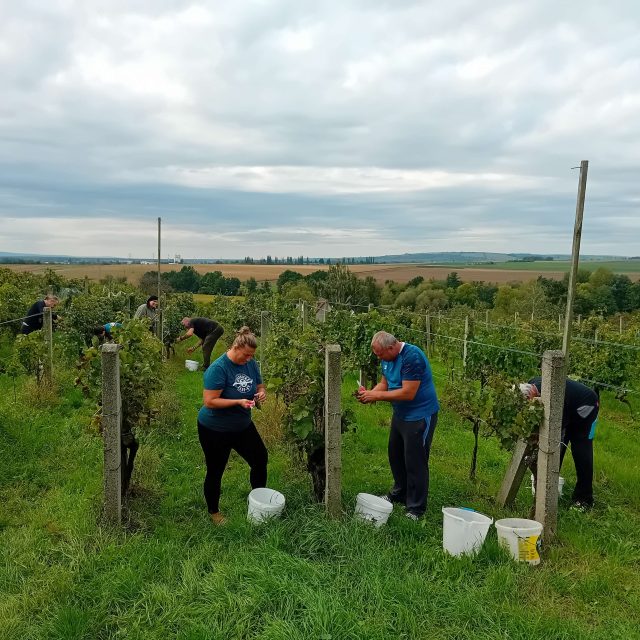 Vinařství Jančura | foto: Archiv vinařství Jančura