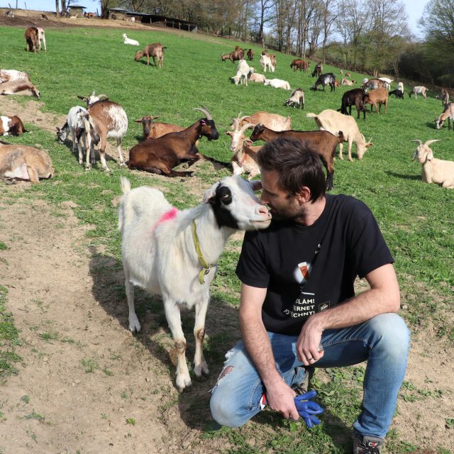 Kozí farma manželů Vlčkových ve Vizovicích | foto: Veronika Žeravová,  Český rozhlas,  Český rozhlas