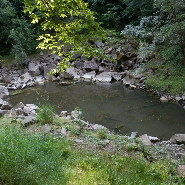 Německý lom u Chvalčova | foto: Tomáš Svačina