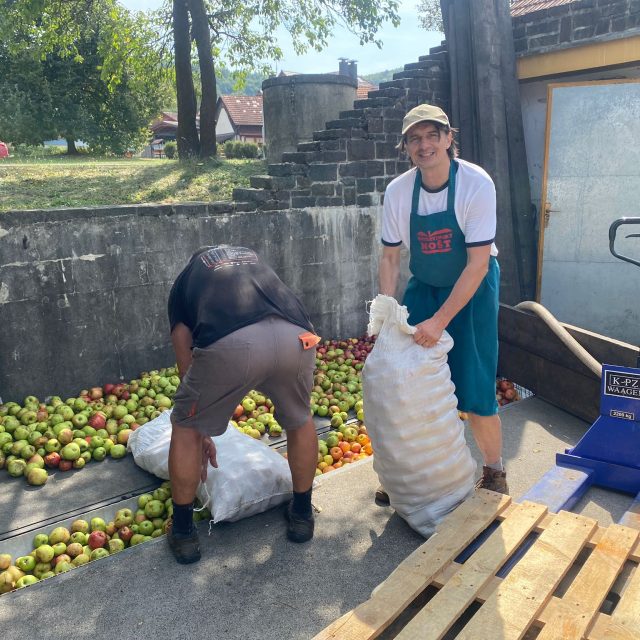 Moštárna Hostětín,  výkup 2024 | foto: Karolína Wernerová,  Český rozhlas