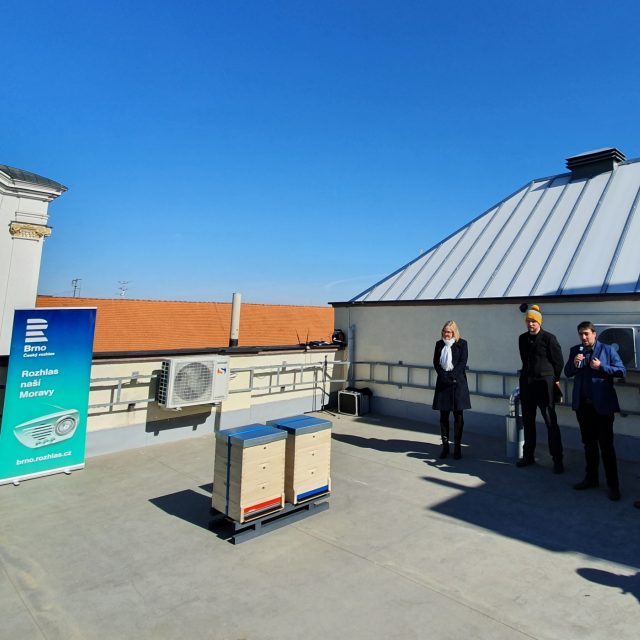 Založení včelína na střeše Českého rozhlasu Brno | foto: Radek Bortlík,  Český rozhlas