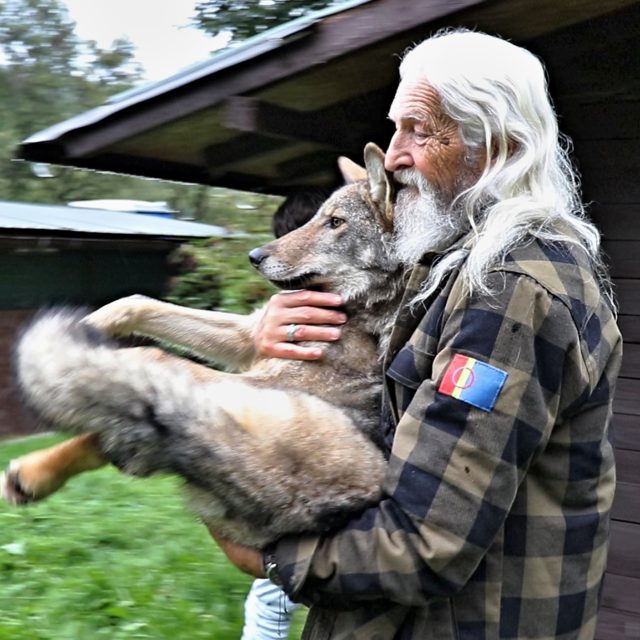 Krušnohorský vlk s ošetřovatelem Vladimírem Tomášem Smolíkem | foto: Naďa Krásná,  Český rozhlas
