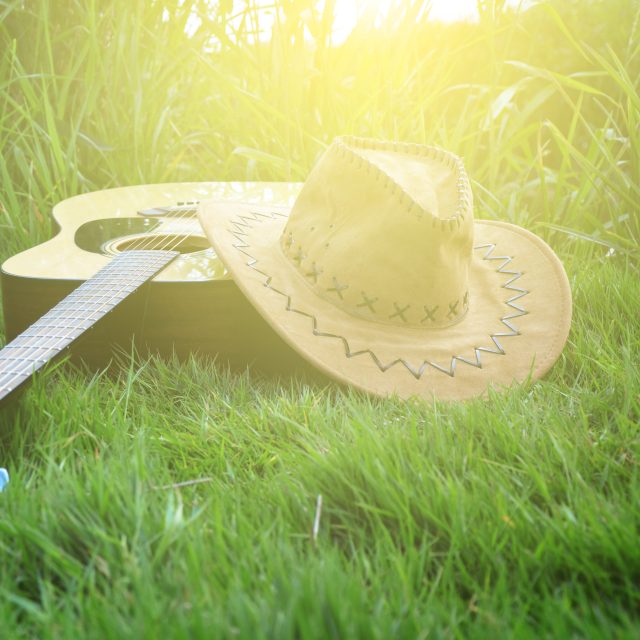 Folkové jaro  (ilustrační foto) | foto: Shutterstock