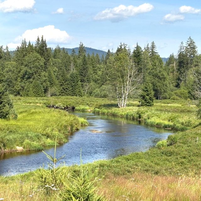 Vyhledávaná místa Šumavy | foto: Pavla Kuchtová,  Český rozhlas