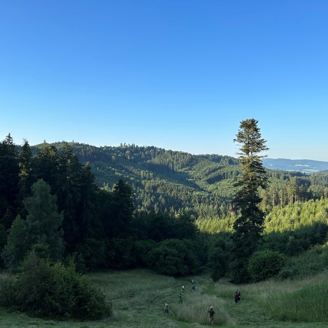 Kosení místních luk v Bílých Karpatech | foto: Leona Nevařilová,  Český rozhlas