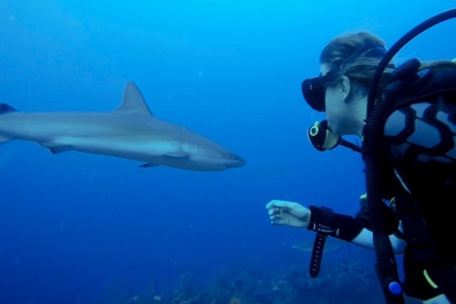 Anna Milerová a její projekt pomoci oceánům BE SEA | foto: Anna Milerová