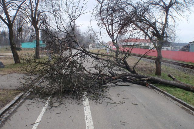 Silný vítr na Zlínsku kácí stromy | foto:  Hasiči - Rescue