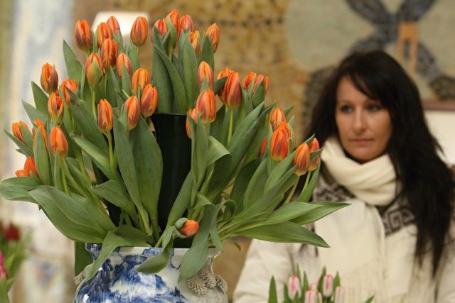 Výstava tulipánu se v Buchlovicích pořádá už devět let | foto:  Dalibor Gluck/MAFRA/Profimedia,  Profimedia