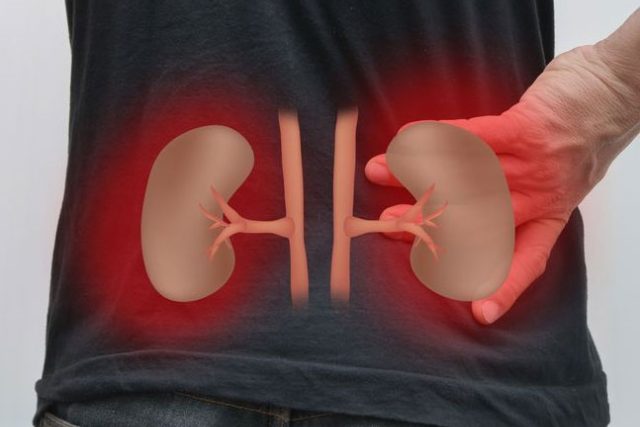 ledviny | foto:  Shutterstock