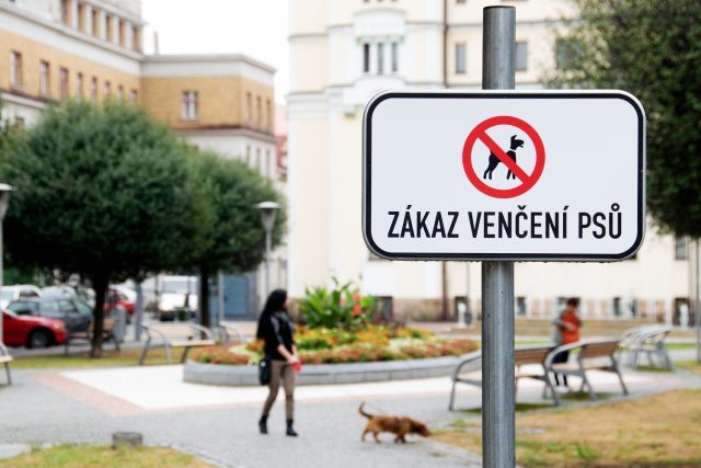 Zlín rozšiřuje plochy se zákazem venčení psů | foto: Josef Ženatý,  Český rozhlas